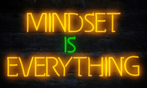 The Zany World of Mindset: A Survival Guide for Small Business Owners!